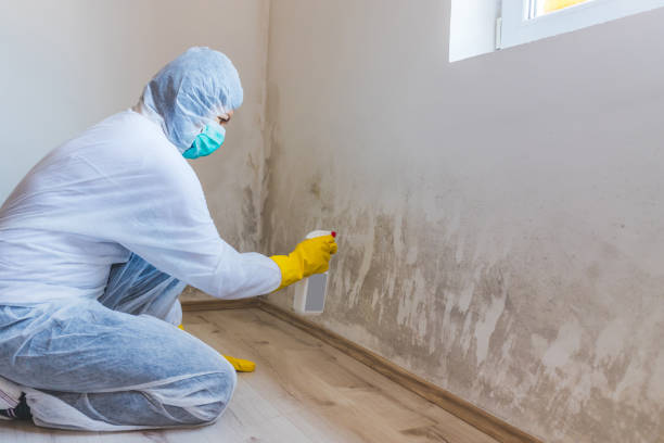 Licensed Crawl Space Mold Removal service in Federalsburg, MD - WQB Mold Removal