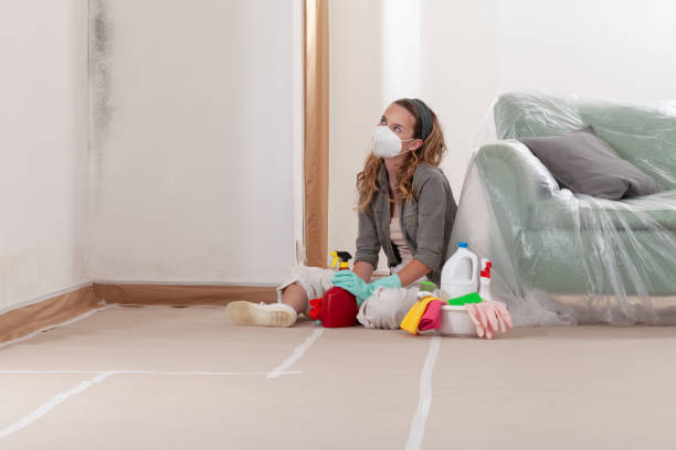 Reliable Crawl Space Mold Removal contractor in Federalsburg, MD by WQB Mold Removal